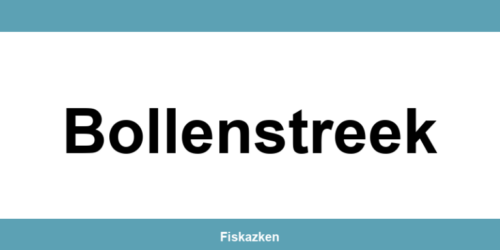 Belastingdienst-kantoor in Bollenstreek: adres en contactgegevens