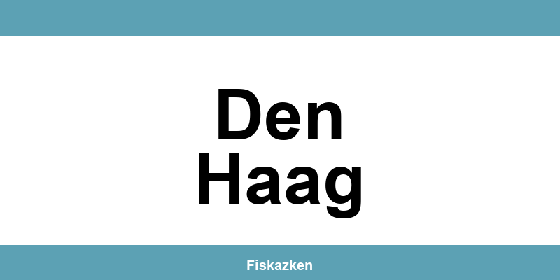 Belastingdienst-kantoor in Den Haag: adres en contactgegevens