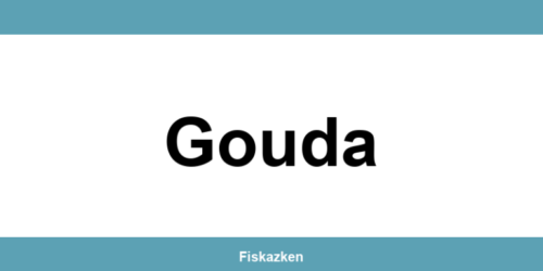 Belastingdienst-kantoor in Gouda: adres en contactgegevens