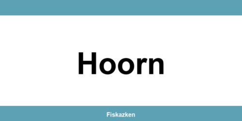 Belastingdienst-kantoor in Hoorn: adres en contactgegevens