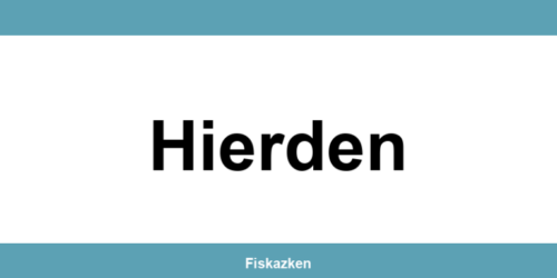 Belastingdienst-kantoor in Hierden: adres en contactgegevens